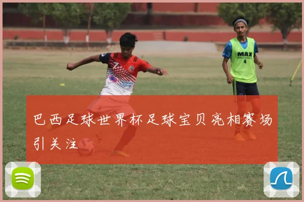 巴西足球世界杯足球宝贝亮相赛场引关注